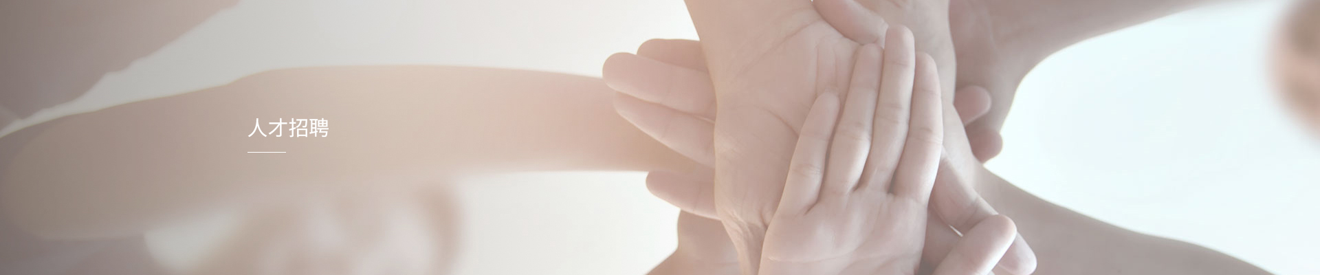 招聘 招聘